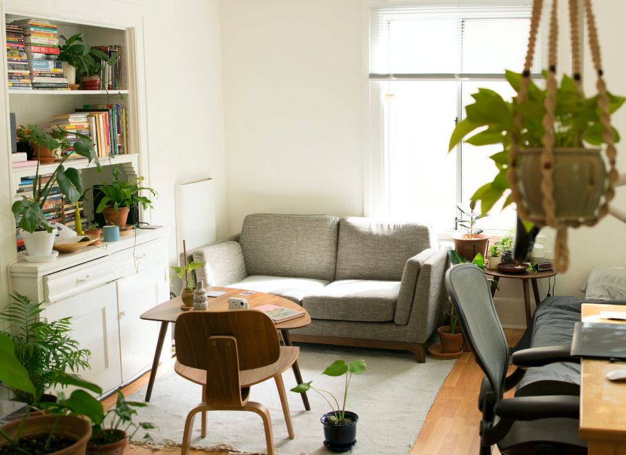 A comfortable-looking lounge with grey sofa, bookshelves and plants